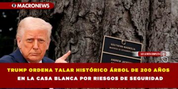 TRUMP ORDENA TALAR HISTÓRICO ÁRBOL DE 200 AÑOS EN LA CASA BLANCA POR RIESGOS DE SEGURIDAD