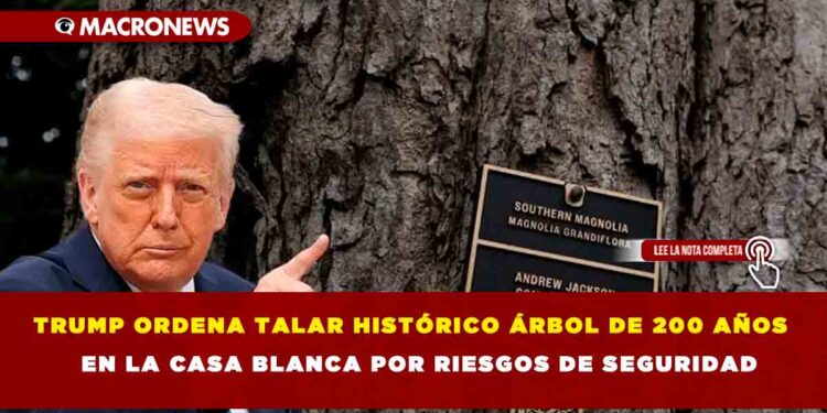 TRUMP ORDENA TALAR HISTÓRICO ÁRBOL DE 200 AÑOS EN LA CASA BLANCA POR RIESGOS DE SEGURIDAD