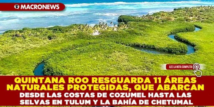 QUINTANA ROO RESGUARDA 11 ÁREAS NATURALES PROTEGIDAS, QUE ABARCAN DESDE LAS COSTAS DE COZUMEL HASTA LAS SELVAS EN TULUM Y LA BAHÍA DE CHETUMAL