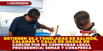 RETIENEN 25.2 TONELADAS DE SALMÓN, CALAMAR Y CALLO DE HACHA EN CANCÚN POR NO COMPROBAR LEGAL PROCEDENCIA: SEMAR Y CONAPESCA