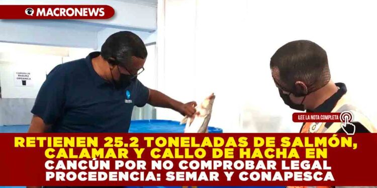 RETIENEN 25.2 TONELADAS DE SALMÓN, CALAMAR Y CALLO DE HACHA EN CANCÚN POR NO COMPROBAR LEGAL PROCEDENCIA: SEMAR Y CONAPESCA