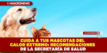 CUIDA A TUS MASCOTAS DEL CALOR EXTREMO: RECOMENDACIONES DE LA SECRETARÍA DE SALUD