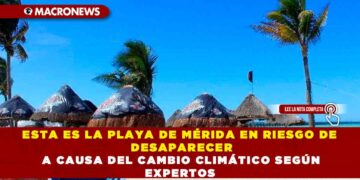 ESTA ES LA PLAYA DE MÉRIDA EN RIESGO DE DESAPARECER A CAUSA DEL CAMBIO CLIMÁTICO SEGÚN EXPERTOS