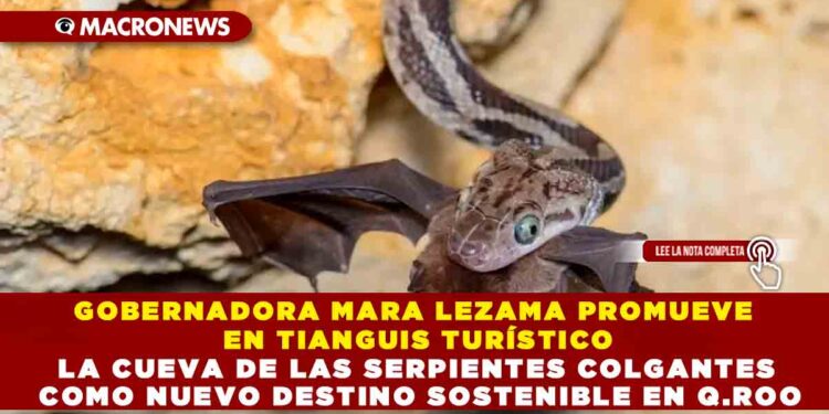 GOBERNADORA MARA LEZAMA PROMUEVE EN TIANGUIS TURÍSTICO LA CUEVA DE LAS SERPIENTES COLGANTES COMO NUEVO DESTINO SOSTENIBLE EN Q.ROO