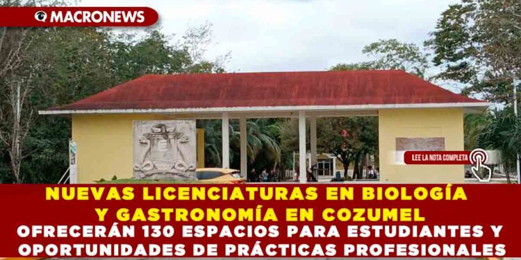 NUEVAS LICENCIATURAS EN BIOLOGÍA Y GASTRONOMÍA EN COZUMEL OFRECERÁN 130 ESPACIOS PARA ESTUDIANTES Y OPORTUNIDADES DE PRÁCTICAS PROFESIONALES