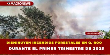 DISMINUYEN INCENDIOS FORESTALES EN Q.ROO DURANTE EL PRIMER TRIMESTRE DE 2025