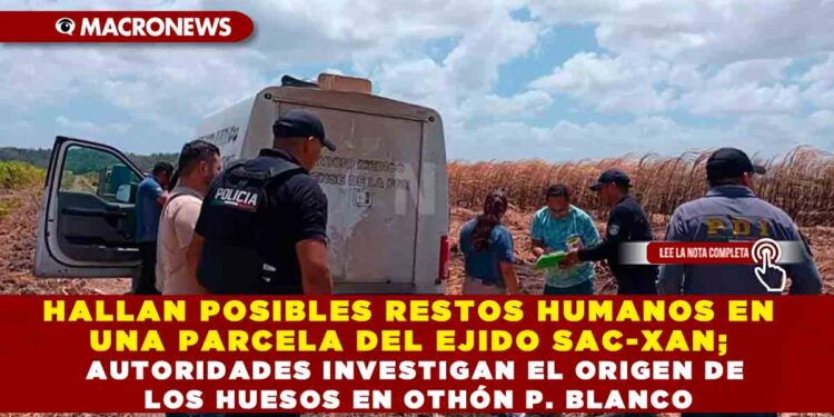 HALLAN POSIBLES RESTOS HUMANOS EN UNA PARCELA DEL EJIDO SAC-XAN; AUTORIDADES INVESTIGAN EL ORIGEN DE LOS HUESOS EN OTHÓN P. BLANCO