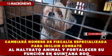 CAMBIARÁ NOMBRE DE FISCALÍA ESPECIALIZADA PARA INCLUIR COMBATE AL MALTRATO ANIMAL Y FORTALECER SU FUNCIÓN EN QUINTANA ROO