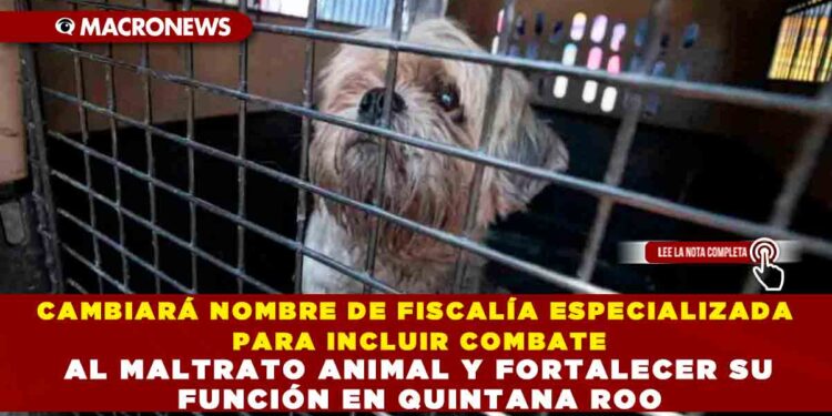 CAMBIARÁ NOMBRE DE FISCALÍA ESPECIALIZADA PARA INCLUIR COMBATE AL MALTRATO ANIMAL Y FORTALECER SU FUNCIÓN EN QUINTANA ROO