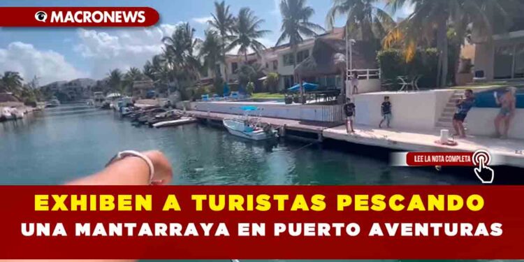 EXHIBEN A TURISTAS PESCANDO UNA MANTARRAYA EN PUERTO AVENTURAS