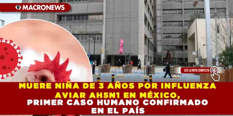 MUERE NIÑA DE 3 AÑOS POR INFLUENZA AVIAR AH5N1 EN MÉXICO, PRIMER CASO HUMANO CONFIRMADO EN EL PAÍS