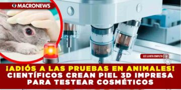 LOS REYES DE INGLATERRA, CARLOS III Y CAMILA CELEBRAN 20 AÑOS DE CASADOS CON VISITA SORPRESA AL PAPA FRANCISCO EN EL VATICANO