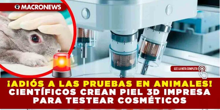 LOS REYES DE INGLATERRA, CARLOS III Y CAMILA CELEBRAN 20 AÑOS DE CASADOS CON VISITA SORPRESA AL PAPA FRANCISCO EN EL VATICANO