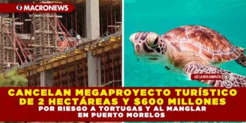 CANCELAN MEGAPROYECTO TURÍSTICO DE 2 HECTÁREAS Y $600 MILLONES; POR RIESGO A TORTUGAS Y AL MANGLAR EN PUERTO MORELOS