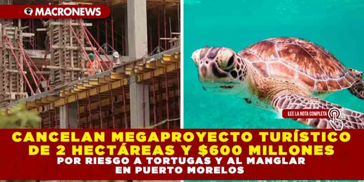 CANCELAN MEGAPROYECTO TURÍSTICO DE 2 HECTÁREAS Y $600 MILLONES; POR RIESGO A TORTUGAS Y AL MANGLAR EN PUERTO MORELOS
