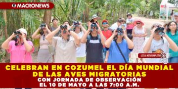 CELEBRAN EN COZUMEL EL DÍA MUNDIAL DE LAS AVES MIGRATORIAS CON JORNADA DE OBSERVACIÓN EL 10 DE MAYO A LAS 7:00 A.M.