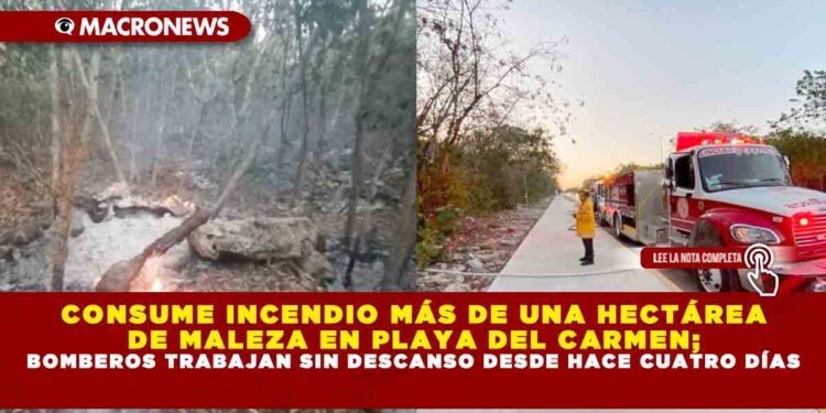 CONSUME INCENDIO MÁS DE UNA HECTÁREA DE MALEZA EN PLAYA DEL CARMEN; BOMBEROS TRABAJAN SIN DESCANSO DESDE HACE CUATRO DÍAS