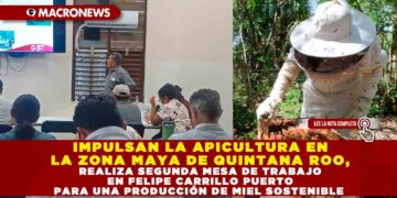 IMPULSAN LA APICULTURA EN LA ZONA MAYA DE QUINTANA ROO, REALIZAN SEGUNDA MESA DE TRABAJO EN FELIPE CARRILLO PUERTO PARA UNA PRODUCCIÓN DE MIEL SOSTENIBLE
