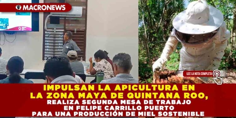 IMPULSAN LA APICULTURA EN LA ZONA MAYA DE QUINTANA ROO, REALIZAN SEGUNDA MESA DE TRABAJO EN FELIPE CARRILLO PUERTO PARA UNA PRODUCCIÓN DE MIEL SOSTENIBLE