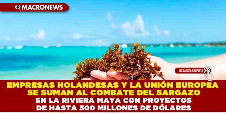EMPRESAS HOLANDESAS Y LA UNIÓN EUROPEA SE SUMAN AL COMBATE DEL SARGAZO EN LA RIVIERA MAYA CON PROYECTOS DE HASTA 500 MILLONES DE DÓLARES