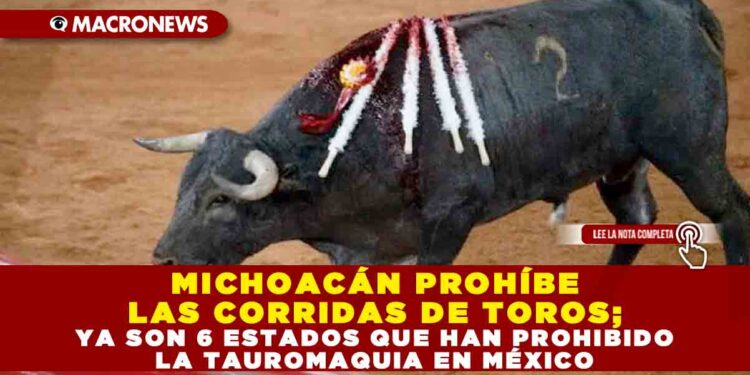MICHOACÁN PROHÍBE LAS CORRIDAS DE TOROS; YA SON 6 ESTADOS QUE HAN PROHIBIDO LA TAUROMAQUIA EN MÉXICO