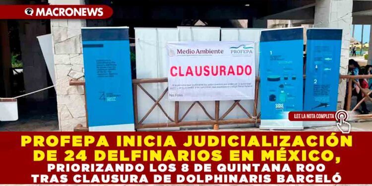 PROFEPA INICIA JUDICIALIZACIÓN DE 24 DELFINARIOS EN MÉXICO, PRIORIZANDO LOS 8 DE QUINTANA ROO TRAS CLAUSURA DE DOLPHINARIS BARCELÓ