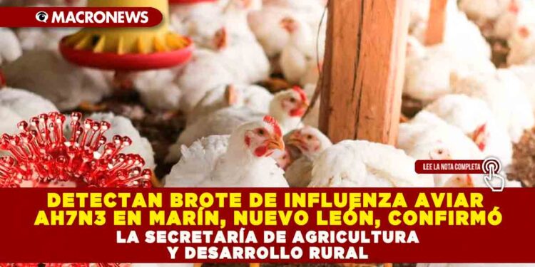 DETECTAN BROTE DE INFLUENZA AVIAR AH7N3 EN MARÍN, NUEVO LEÓN, CONFIRMÓ LA SECRETARÍA DE AGRICULTURA Y DESARROLLO RURAL