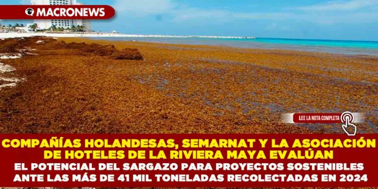 COMPAÑÍAS HOLANDESAS, SEMARNAT Y LA ASOCIACIÓN DE HOTELES DE LA RIVIERA MAYA EVALÚAN EL POTENCIAL DEL SARGAZO PARA PROYECTOS SOSTENIBLES ANTE LAS MÁS DE 41 MIL TONELADAS RECOLECTADAS EN 2024
