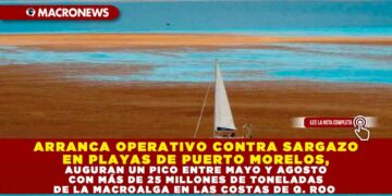 ARRANCA OPERATIVO CONTRA SARGAZO EN PLAYAS DE PUERTO MORELOS, AUGURAN PICO ENTRE MAYO Y AGOSTO CON MÁS DE 25 MILLONES DE TONELADAS DE MACROALGA EN COSTAS DE Q. ROO