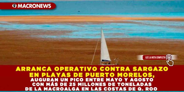 ARRANCA OPERATIVO CONTRA SARGAZO EN PLAYAS DE PUERTO MORELOS, AUGURAN PICO ENTRE MAYO Y AGOSTO CON MÁS DE 25 MILLONES DE TONELADAS DE MACROALGA EN COSTAS DE Q. ROO
