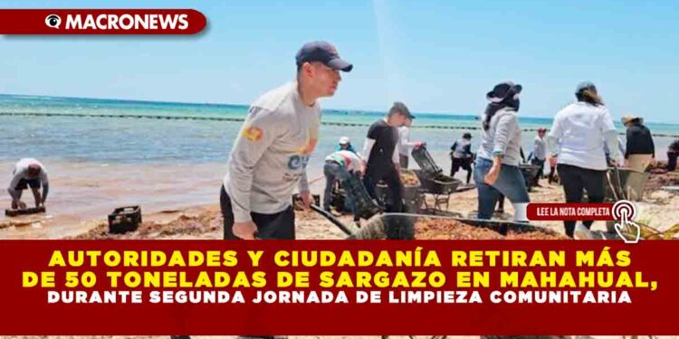 AUTORIDADES Y CIUDADANÍA RETIRAN MÁS DE 50 TONELADAS DE SARGAZO EN MAHAHUAL, DURANTE SEGUNDA JORNADA DE LIMPIEZA COMUNITARIA