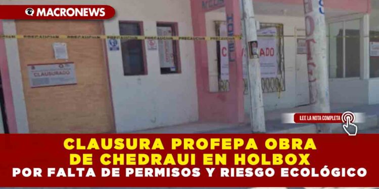 CLAUSURA PROFEPA OBRA DE CHEDRAUI EN HOLBOX POR FALTA DE PERMISOS Y RIESGO ECOLÓGICO