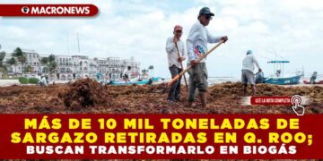MÁS DE 10 MIL TONELADAS DE SARGAZO RETIRADAS EN Q. ROO; BUSCAN TRANSFORMARLO EN BIOGÁS