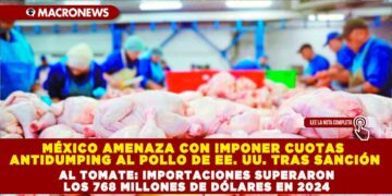 MÉXICO AMENAZA CON IMPONER CUOTAS ANTIDUMPING AL POLLO DE EE. UU. TRAS SANCIÓN AL TOMATE: IMPORTACIONES SUPERARON LOS 768 MILLONES DE DÓLARES EN 2024