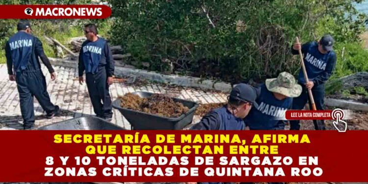 SECRETARÍA DE MARINA, AFIRMA QUE RECOLECTAN ENTRE 8 Y 10 TONELADAS DE SARGAZO EN ZONAS CRÍTICAS DE QUINTANA ROO
