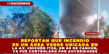 REPORTAN QUE INCENDIO DE UN ÁREA VERDE UBICADA EN LA AV. CHICHÉN ITZÁ, SM 60 DE CANCÚN, YA FUE CONTROLADO POR AUTORIDADES