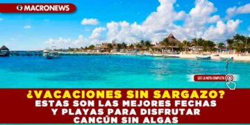 ¿VACACIONES SIN SARGAZO? ESTAS SON LAS MEJORES FECHAS Y PLAYAS PARA DISFRUTAR CANCÚN SIN ALGAS
