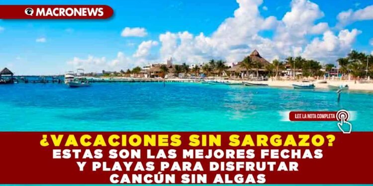 ¿VACACIONES SIN SARGAZO? ESTAS SON LAS MEJORES FECHAS Y PLAYAS PARA DISFRUTAR CANCÚN SIN ALGAS