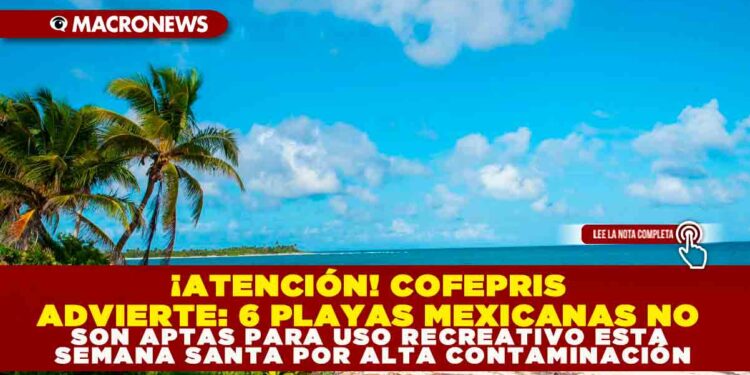 ¡ATENCIÓN! COFEPRIS ADVIERTE: 6 PLAYAS MEXICANAS NO SON APTAS PARA USO RECREATIVO ESTA SEMANA SANTA POR ALTA CONTAMINACIÓN