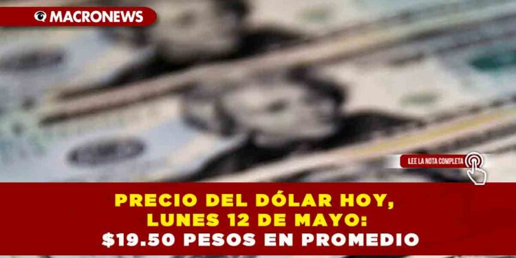 PRECIO DEL DÓLAR HOY, LUNES 12 DE MAYO: $19.50 PESOS EN PROMEDIO