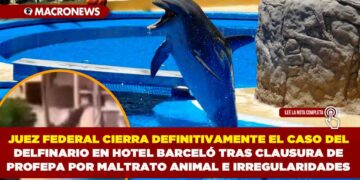 JUEZ FEDERAL CIERRA DEFINITIVAMENTE EL CASO DEL DELFINARIO EN HOTEL BARCELÓ TRAS CLAUSURA DE PROFEPA POR MALTRATO ANIMAL E IRREGULARIDADES