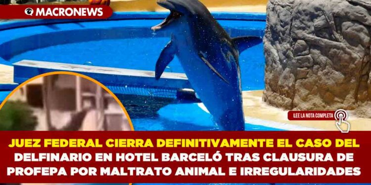 JUEZ FEDERAL CIERRA DEFINITIVAMENTE EL CASO DEL DELFINARIO EN HOTEL BARCELÓ TRAS CLAUSURA DE PROFEPA POR MALTRATO ANIMAL E IRREGULARIDADES