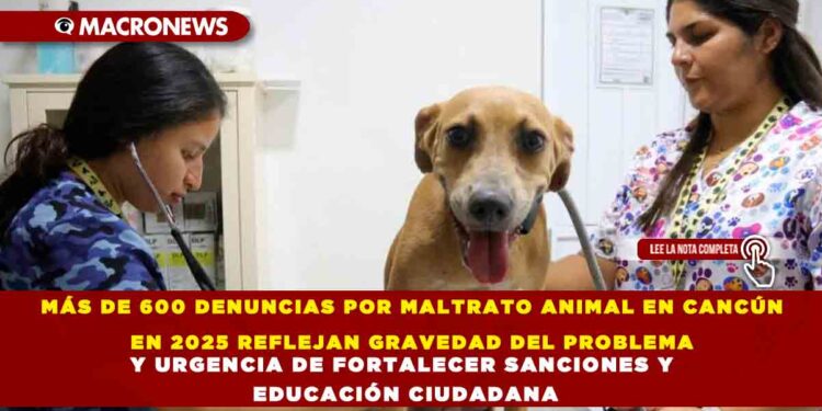MÁS DE 600 DENUNCIAS POR MALTRATO ANIMAL EN CANCÚN EN 2025 REFLEJAN GRAVEDAD DEL PROBLEMA Y URGENCIA DE FORTALECER SANCIONES Y EDUCACIÓN CIUDADANA