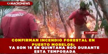 CONFIRMAN INCENDIO FORESTAL EN PUERTO MORELOS; YA SON 16 EN QUINTANA ROO DURANTE ESTA TEMPORADA