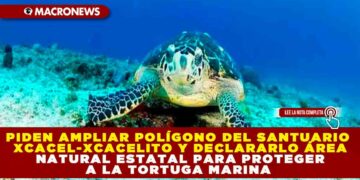 PIDEN AMPLIAR POLÍGONO DEL SANTUARIO XCACEL-XCACELITO Y DECLARARLO ÁREA NATURAL ESTATAL PARA PROTEGER A LA TORTUGA MARINA