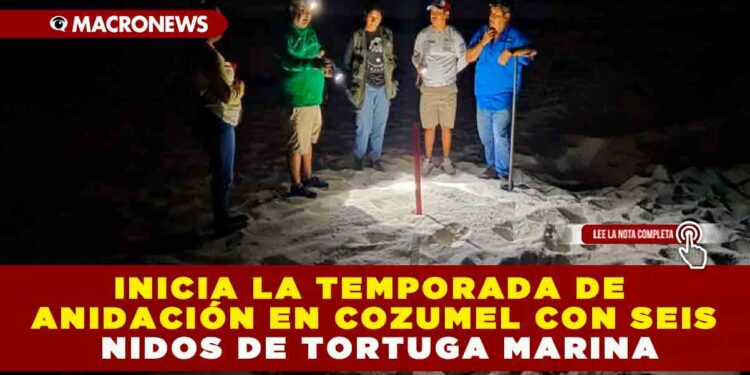INICIA LA TEMPORADA DE ANIDACIÓN EN COZUMEL CON SEIS NIDOS DE TORTUGA MARINA