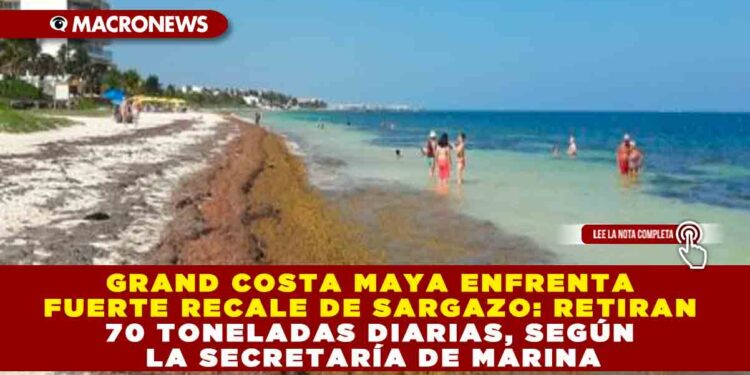 GRAND COSTA MAYA ENFRENTA FUERTE RECALE DE SARGAZO: RETIRAN 70 TONELADAS DIARIAS SEGÚN LA SECRETARÍA DE MARINA