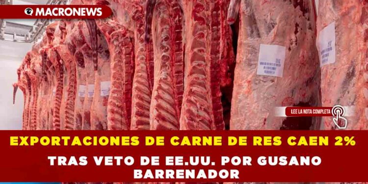 EXPORTACIONES DE CARNE DE RES CAEN 2% TRAS VETO DE EE.UU. POR GUSANO BARRENADOR