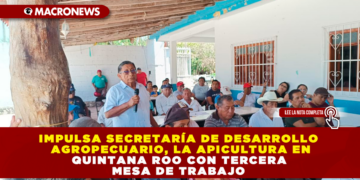 IMPULSA SECRETARÍA DE DESARROLLO AGROPECUARIO, LA APICULTURA EN QUINTANA ROO CON TERCERA MESA DE TRABAJO