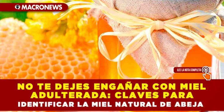 NO TE DEJES ENGAÑAR CON MIEL ADULTERADA: CLAVES PARA IDENTIFICAR LA MIEL NATURAL DE ABEJA